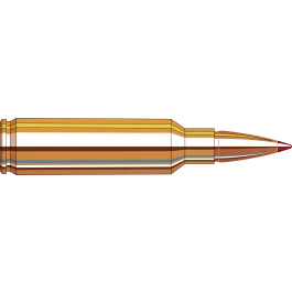 Hornady Superformance 300 Win Mag 165 Grain Copper Alloy eXpanding