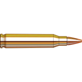 Hornady Superformance 223 Remington 50 Gr Copper Alloy eXpanding
