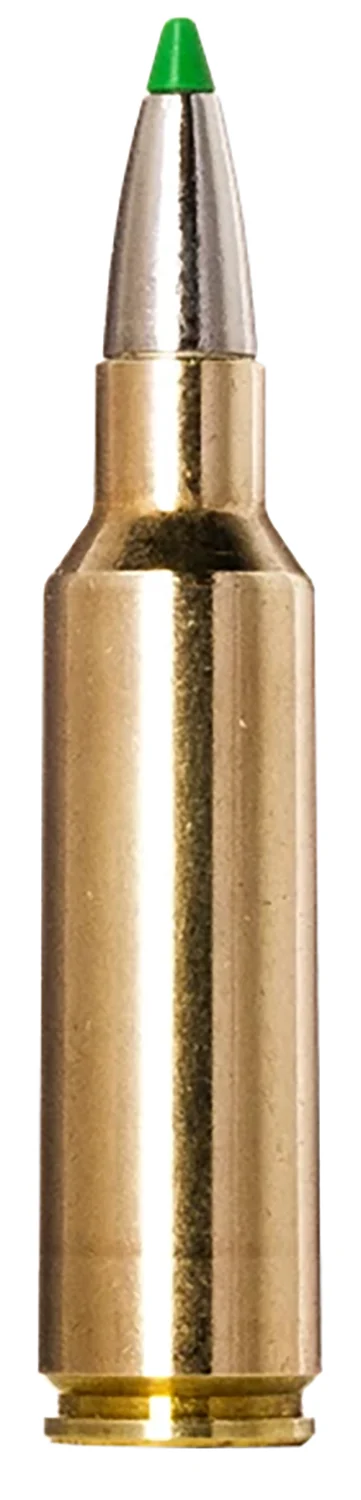 Norma EcoStrike .300 WSM 165gr PT 20/ct