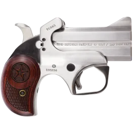 Bond Arms Texas Defender Derringer 45 LC/410 Ga 2 Round Stainless
