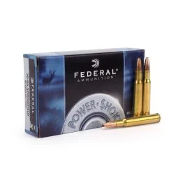 Federal 3006 SPrg 180 Gr Soft Point