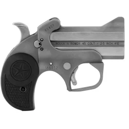 Bond Arms Rowdy .45 LC/.410 Stainless Steel Derringer 3" 2RD BARW