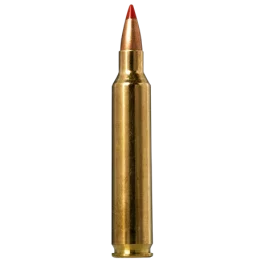 Norma Tipstrike 204 Ruger 40 Gr V-Max 20 Rounds Ammo