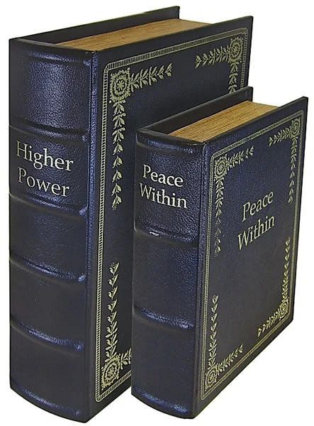 PS Products Diversion Book Set Black (DBBLK)
