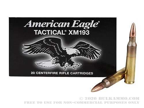 20 Rounds of .223 Ammo by Federal - 55gr FMJBT