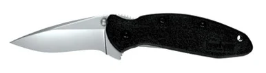 Kershaw Knives Scallion, 5.75" Overall Length, Black Handle, Bead-Blasted Finish