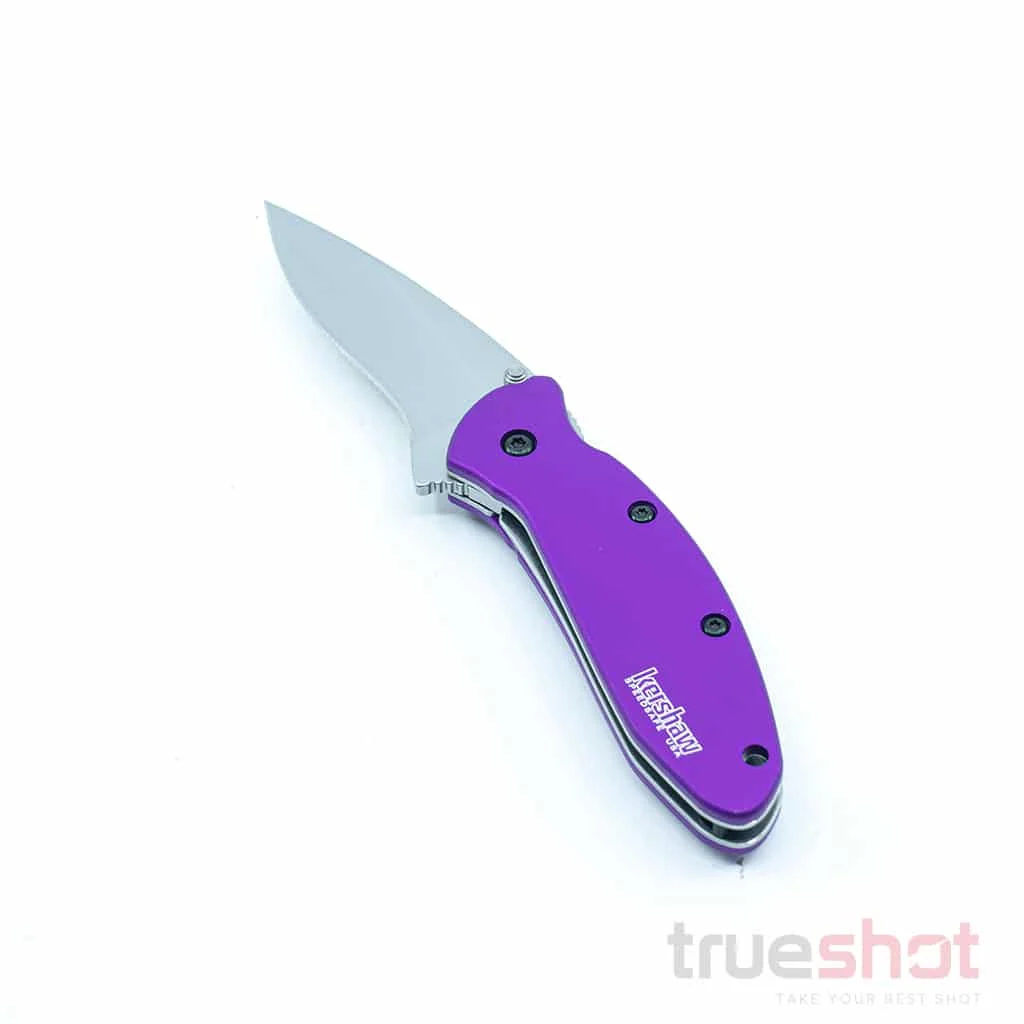 Kershaw - Scallion - Purple Aluminum - Bead Blast - 420 - 2.50"