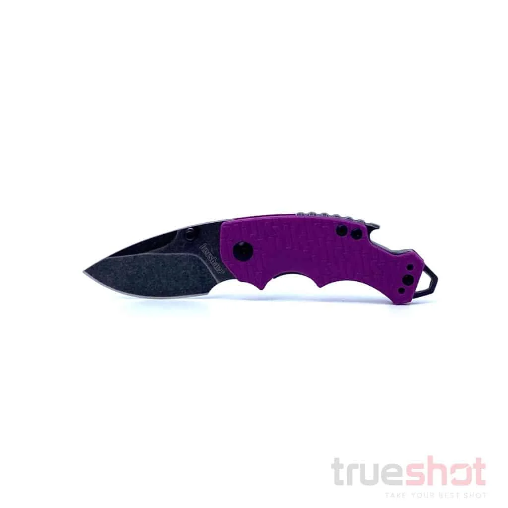Kershaw - Shuffle - Purple - 8Cr13MoV - 2.375"