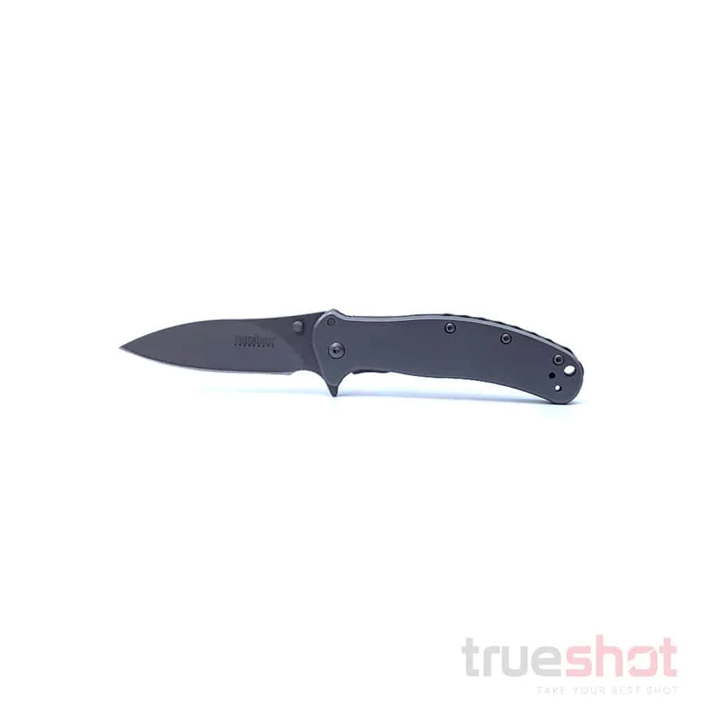 Kershaw - Zing - Gray - 8Cr13MoV - 3.00"