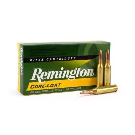 Remington Core-Lokt .243 Win 100 Grain PSP